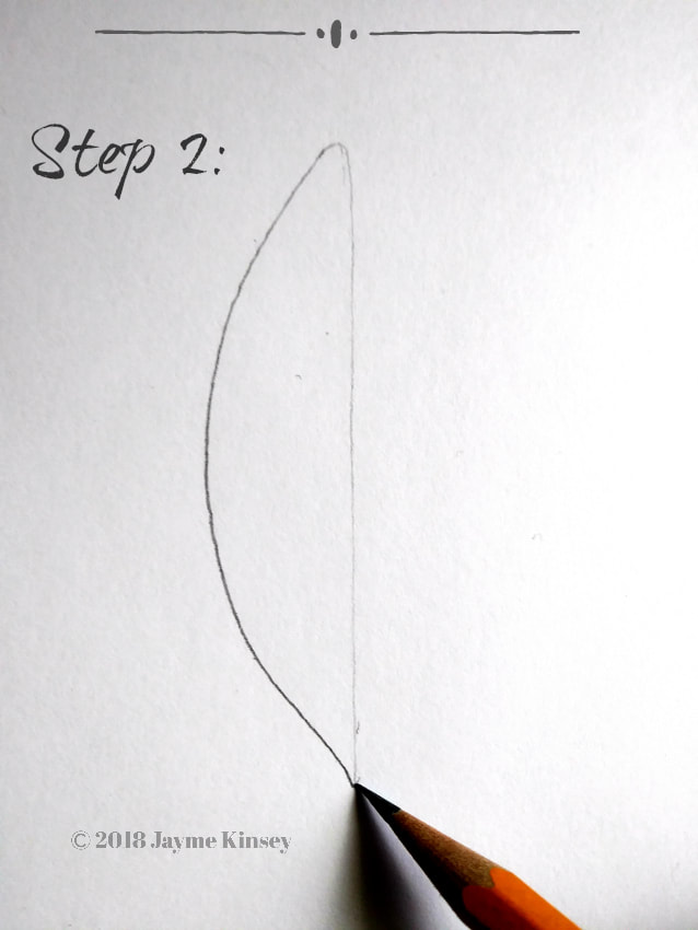 Fish drawing tutorial 2