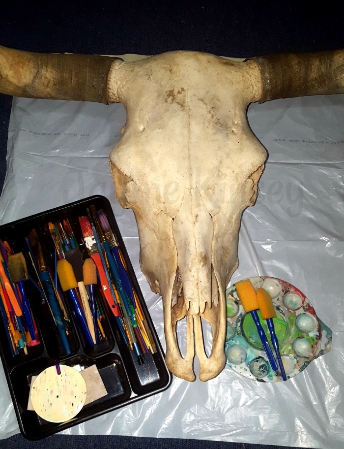 Painting a cow skull