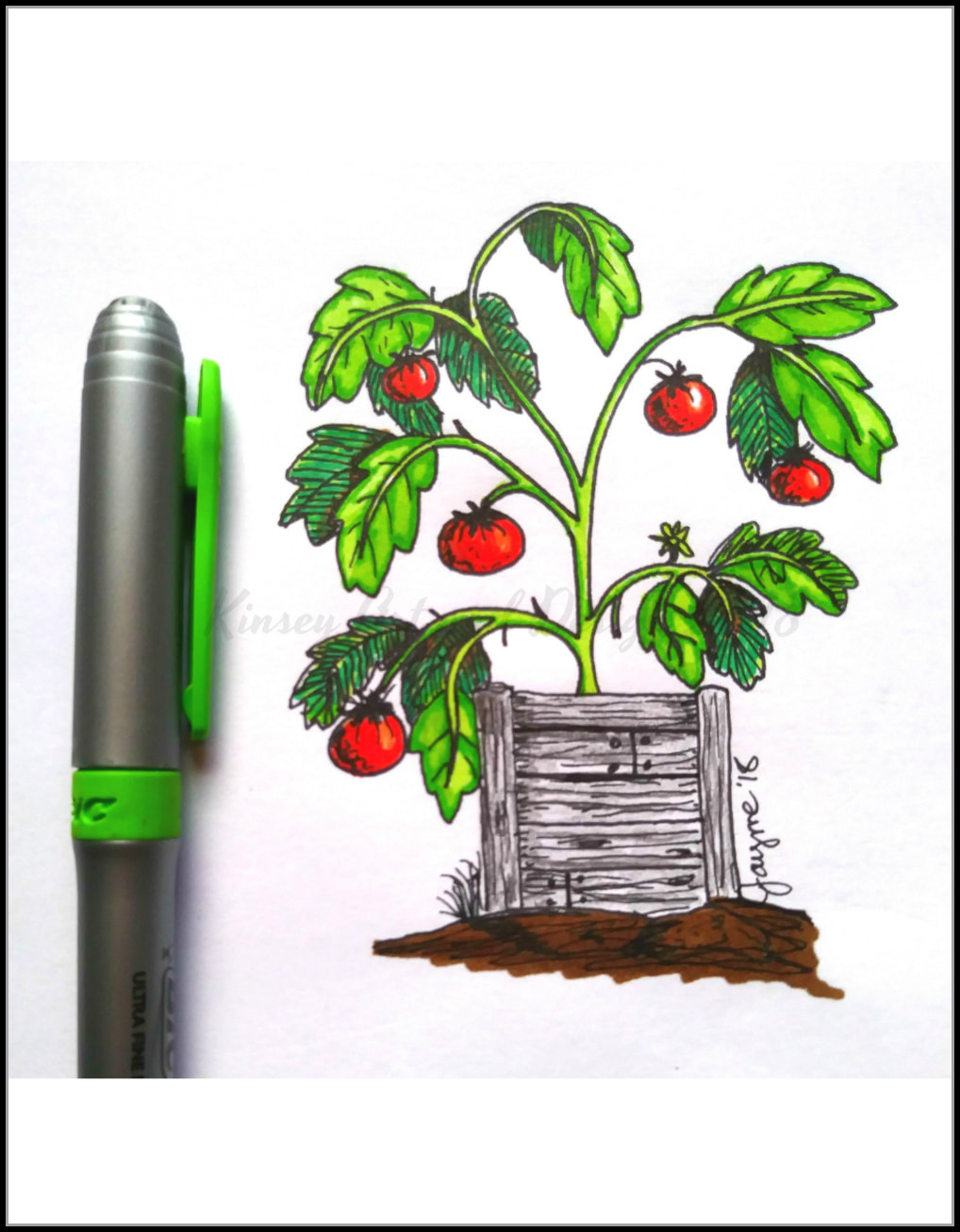 Garden Doodle...Happy Tomato Plant