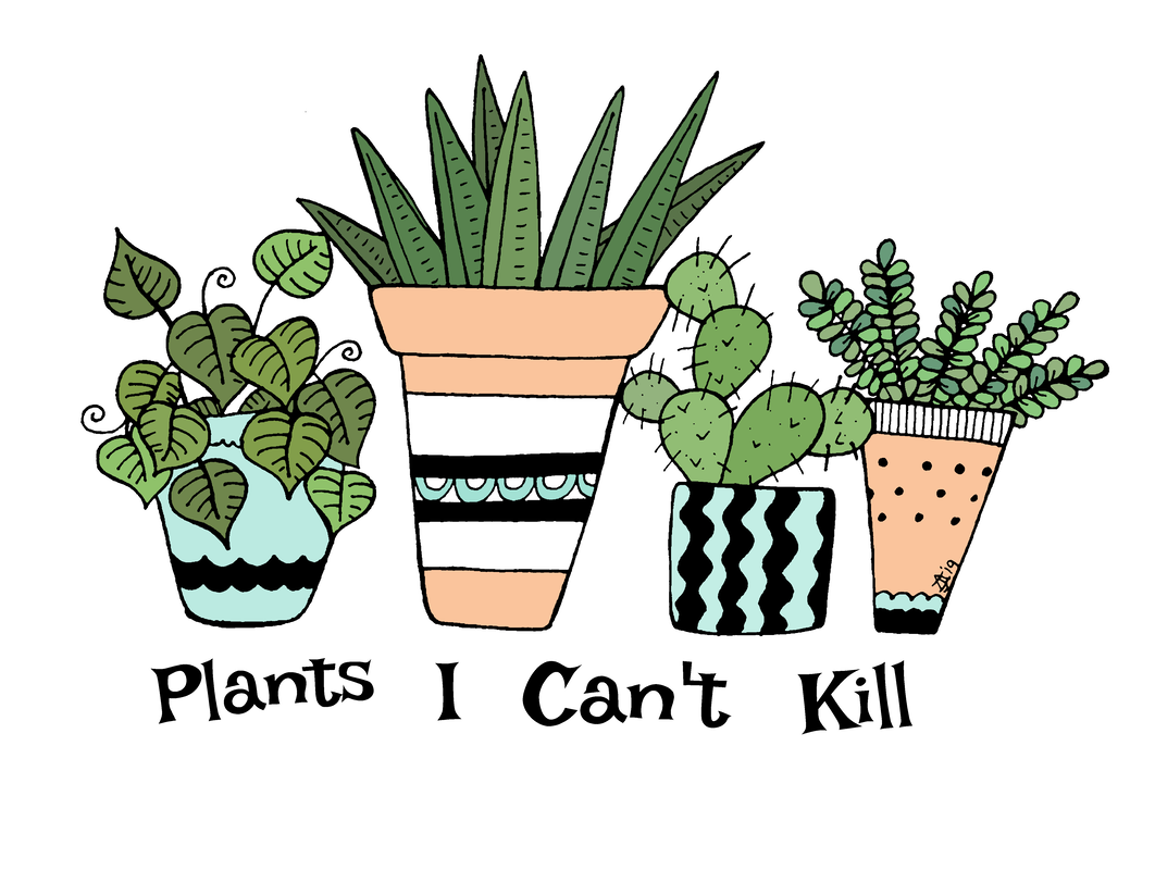 Plants I Can't Kill funny houseplant illustration by jayme kinsey